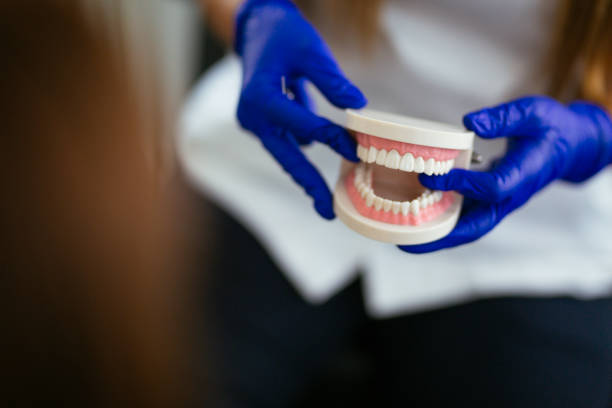 Snow Hill, MD Holistic Dental Care Services Company